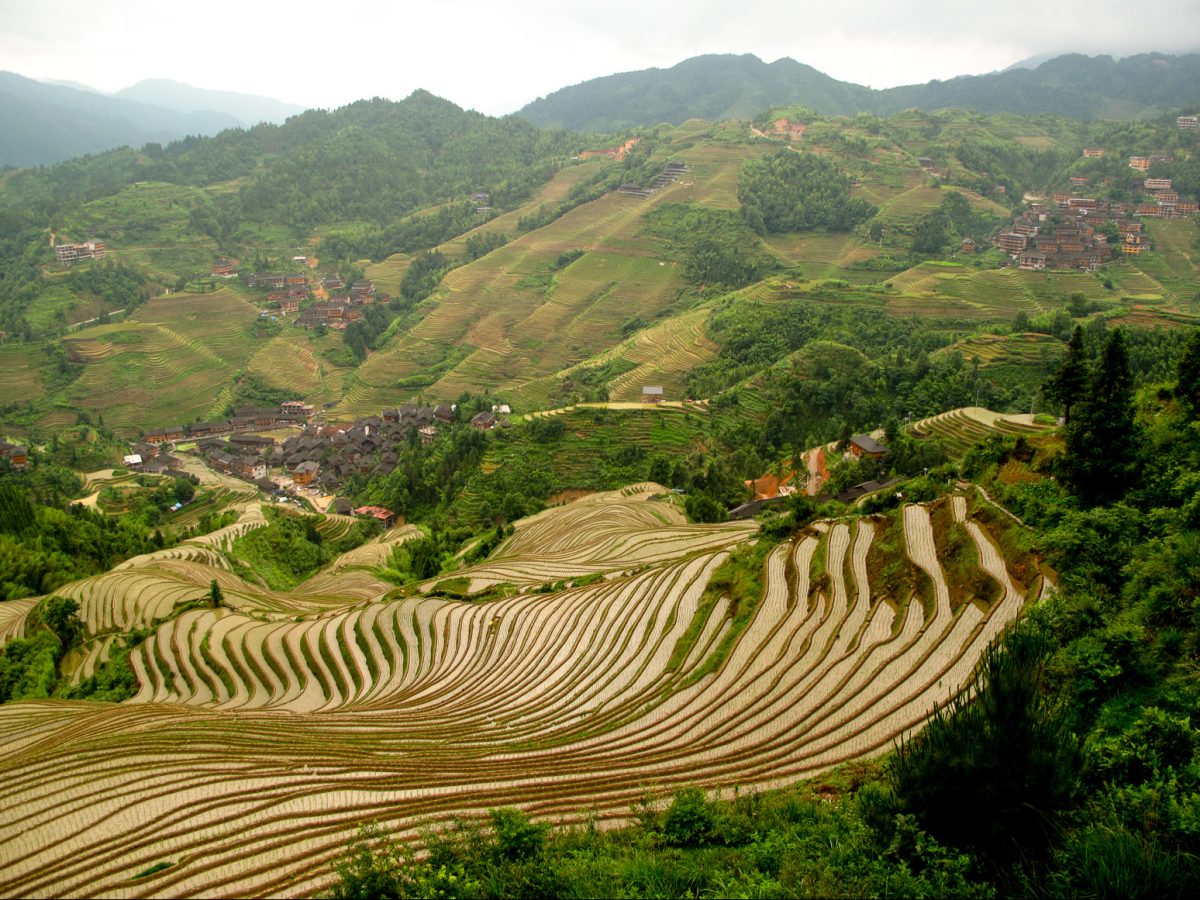 Longji Rice Terraces