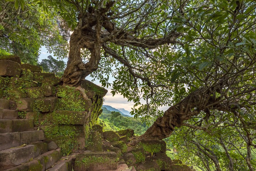 Wat Phou