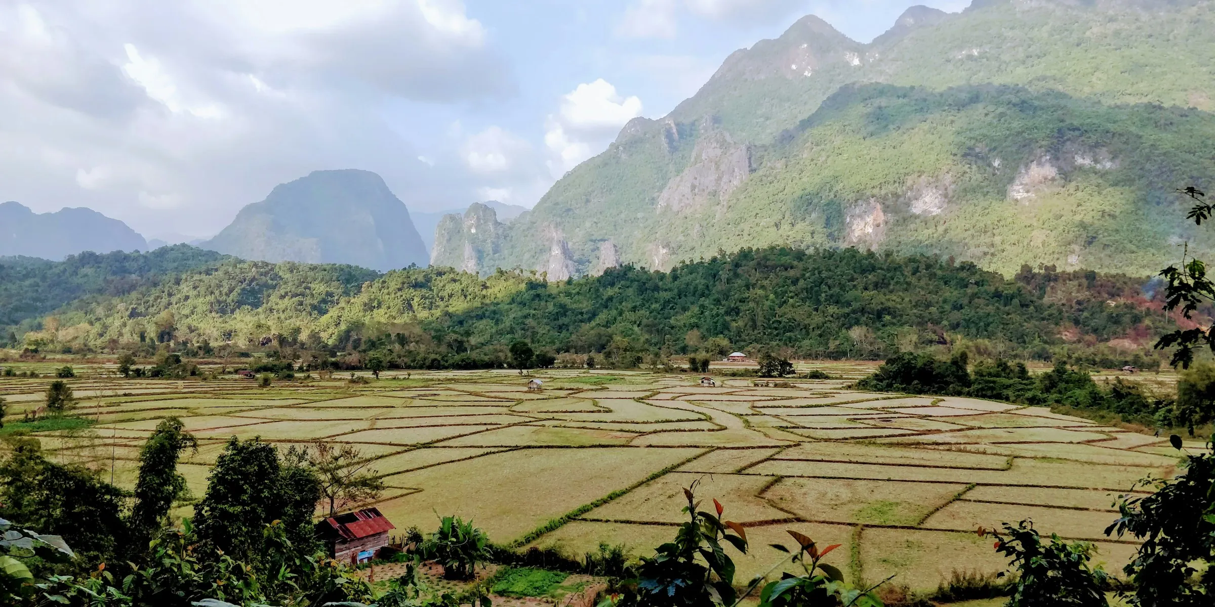Rice fields below limestone mountains in Laos
