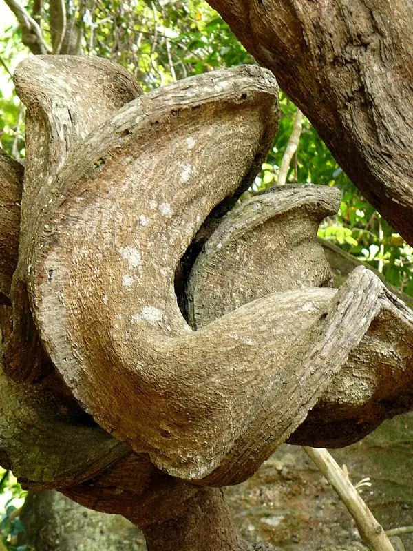 Angkor Explorer: Temples, Kulen Mountain and Village Life in 7 Days