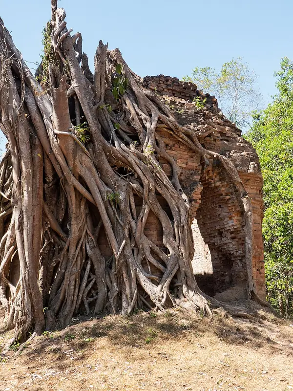 Cambodia Soft Adventure: Phnom Penh, Angkor and the Mekong to Kratie in 13 Days