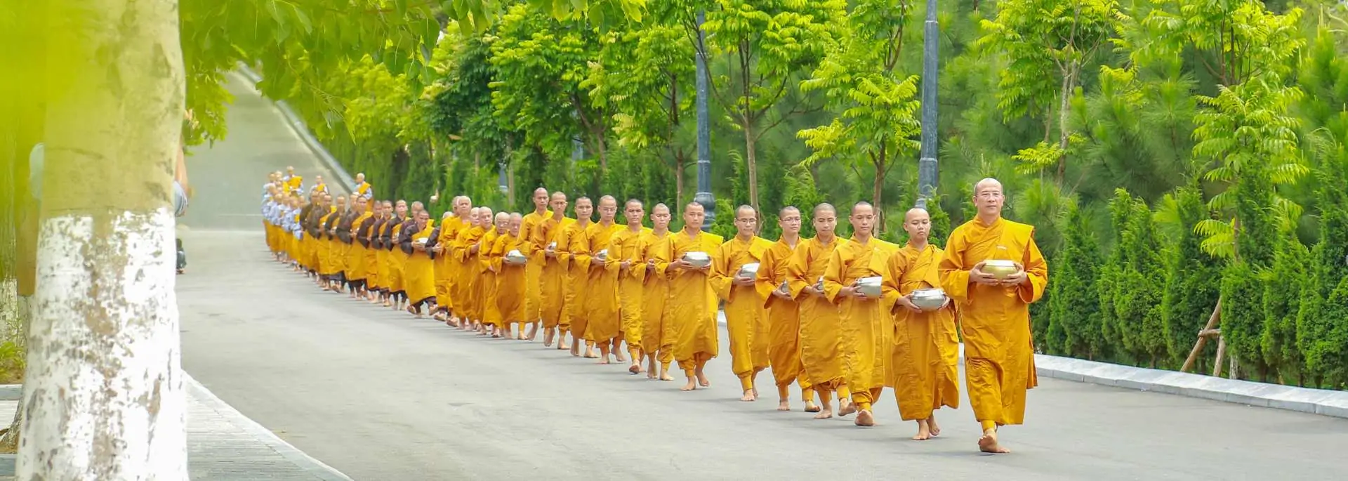 Buddhist meditation retreat in Vietnam: what to expect?