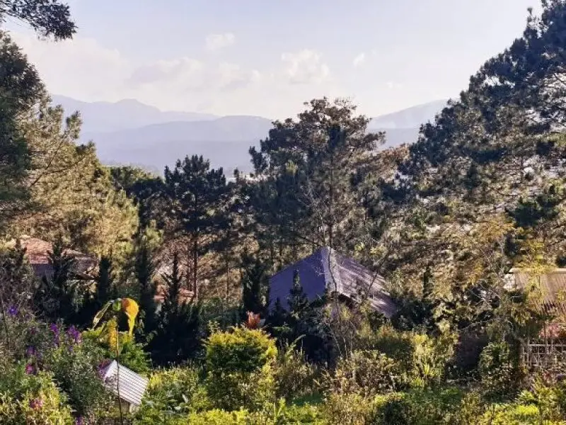 dalat vietnam meditation