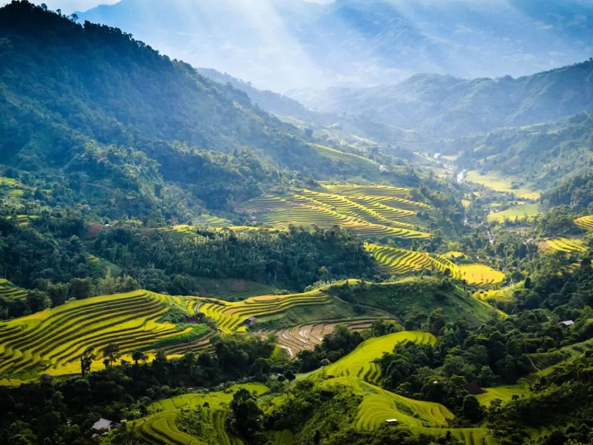 HHafgiang-Việtnam