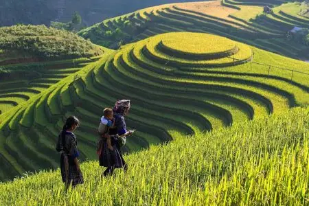 Vietnam Special Tour - Best trekking in Sapa