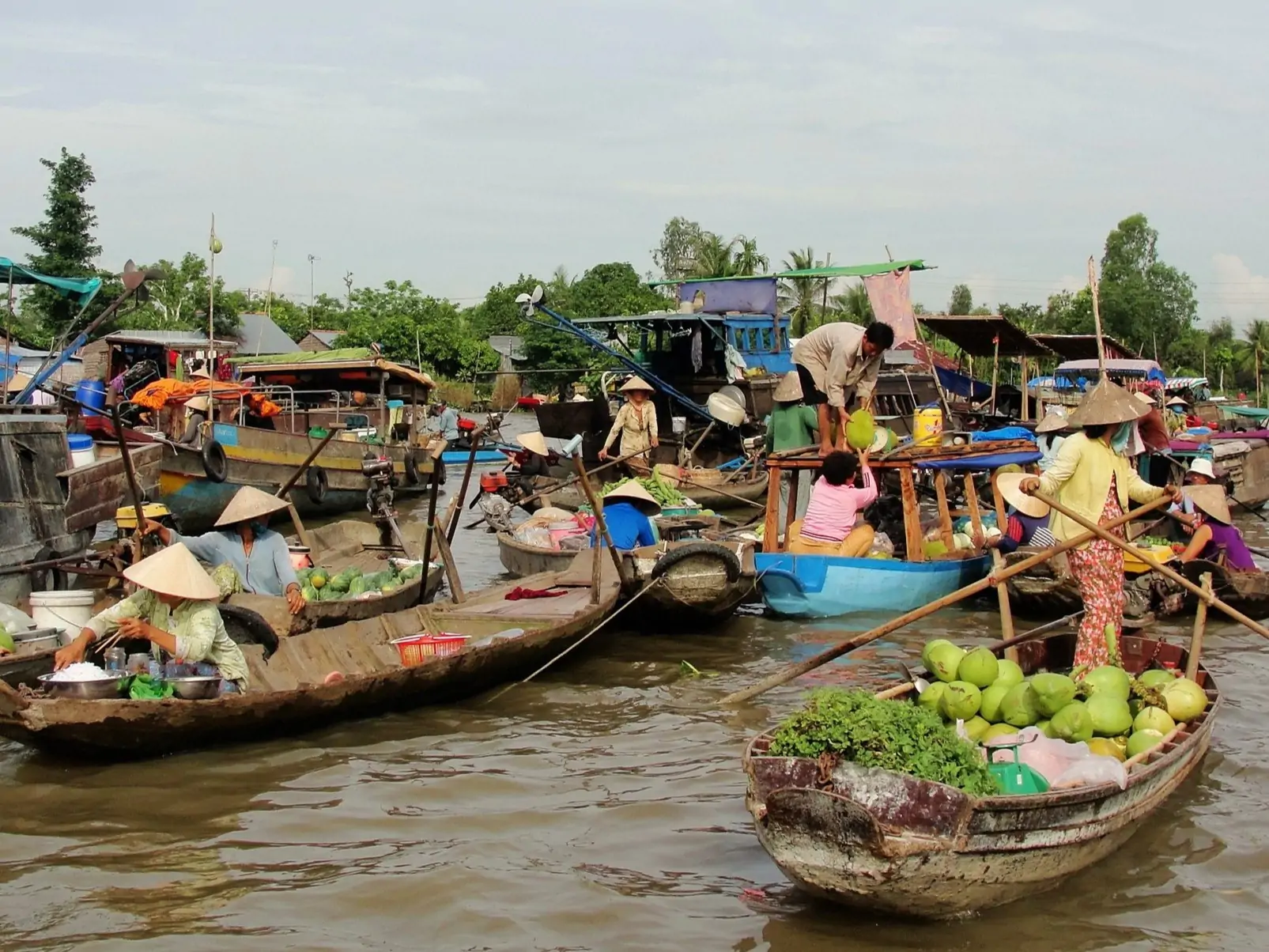 Mekong Detla Excursion
