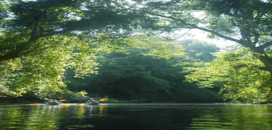 Kayak-On-The-Mae-Ping-River 