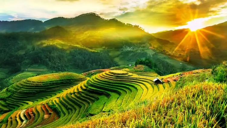 MU CANG CHAI TOUR: EXPLORING THE MAJESTIC RICE TERRACES IN 3D2N