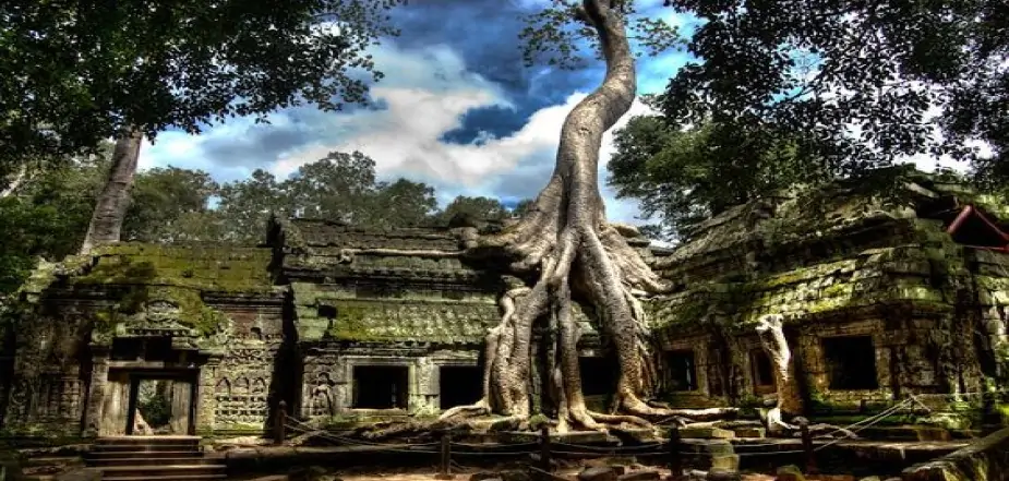 Ta-Prohm-Temple-Cambodia