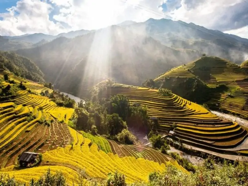 Mu Cang Chai