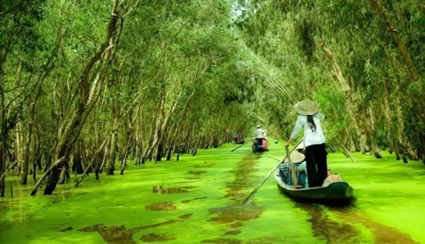 Top 10 Things to do in Mekong Delta for an Epic Adventure