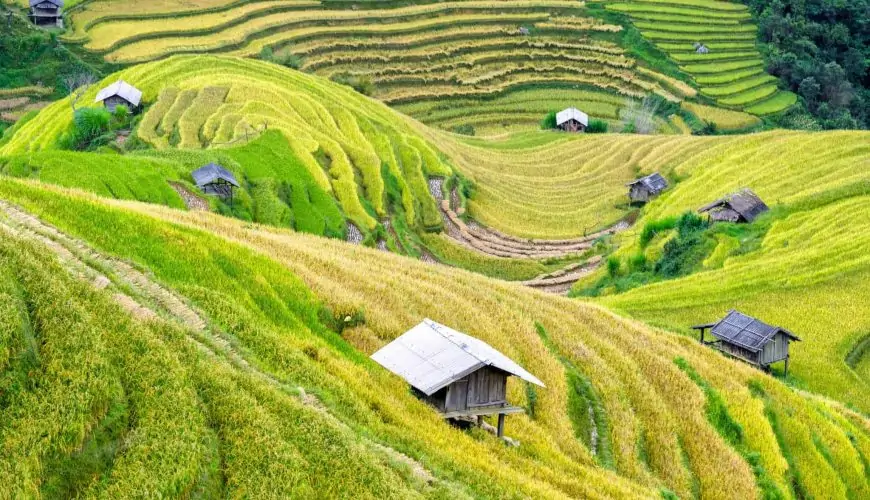 Mai Chau Tour