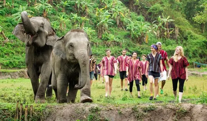 <span>Day 1</span> Arrive at Elephant Jungle Sanctuary