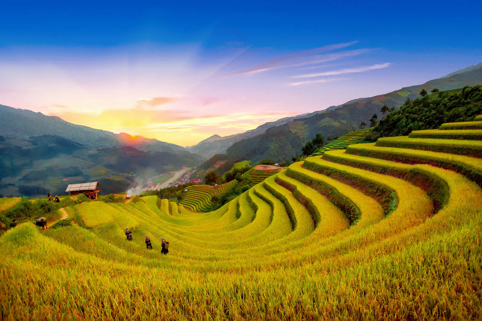 Mu Cang Chai Vietnam: The Top 10 Most Beautiful Destinations