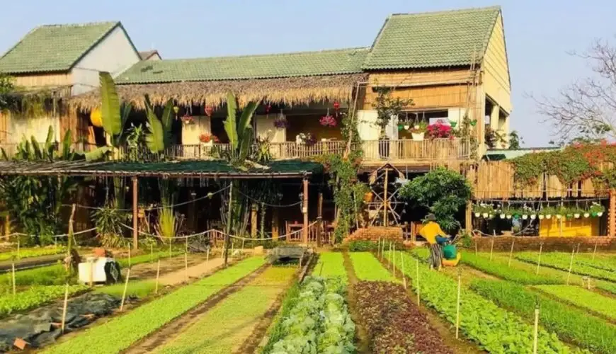 Explore Hoi An Half Day Tour To Visit Beautiful Tra Que Village