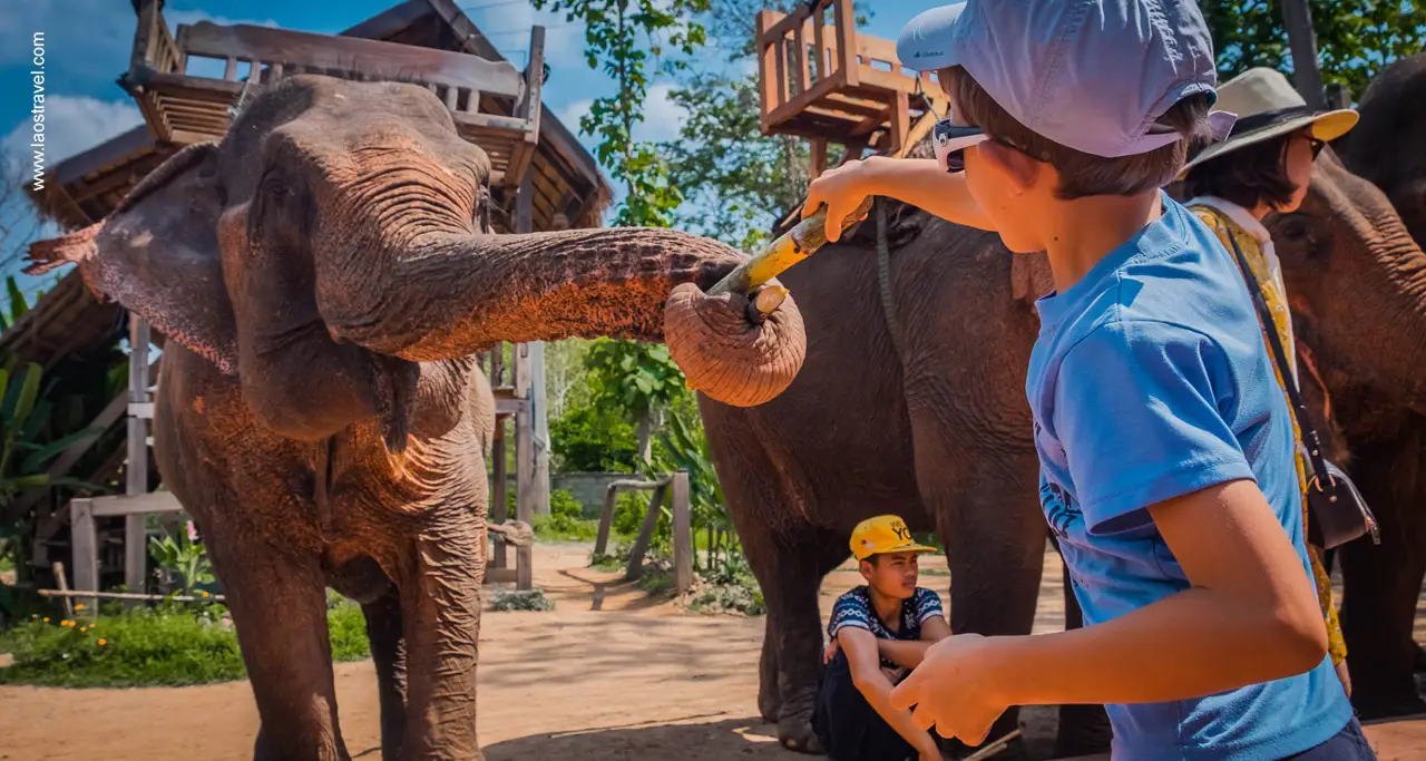 DAY 15: LUANG PHRABANG (B)